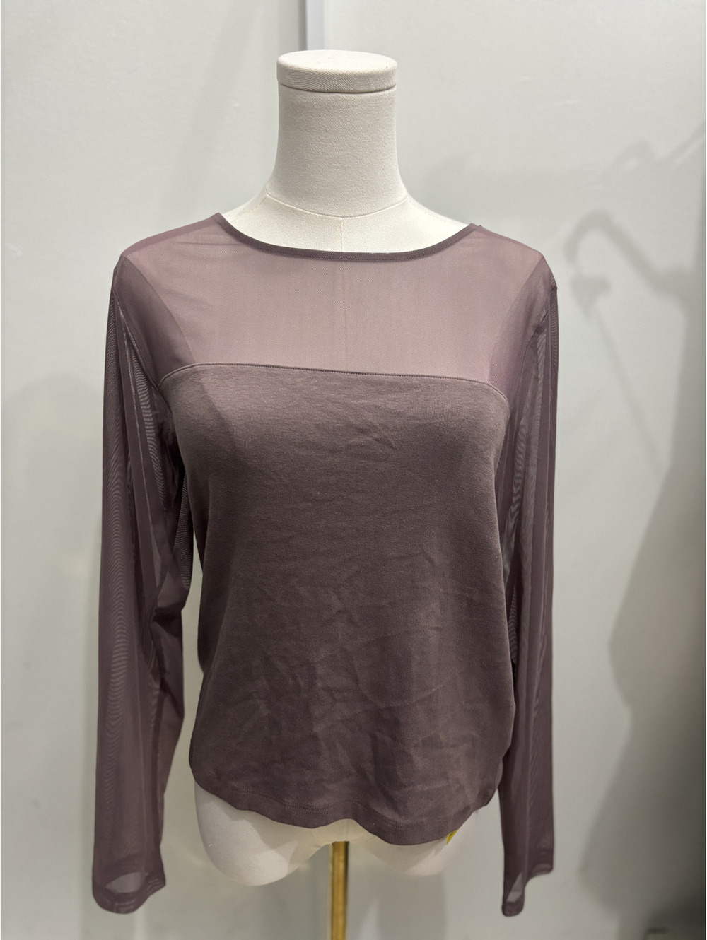 GAP Women's Long Sleeve Sheer Mesh Top in Mauve